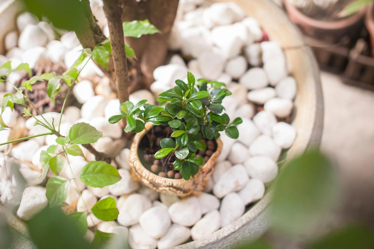 Wholesome Hotel Đài Bắc Ngoại thất bức ảnh