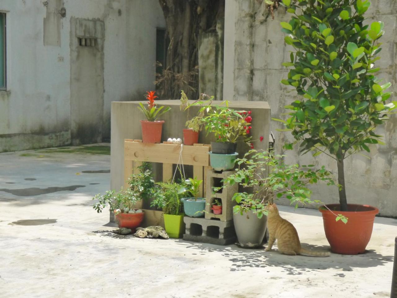 Wholesome Hotel Đài Bắc Ngoại thất bức ảnh
